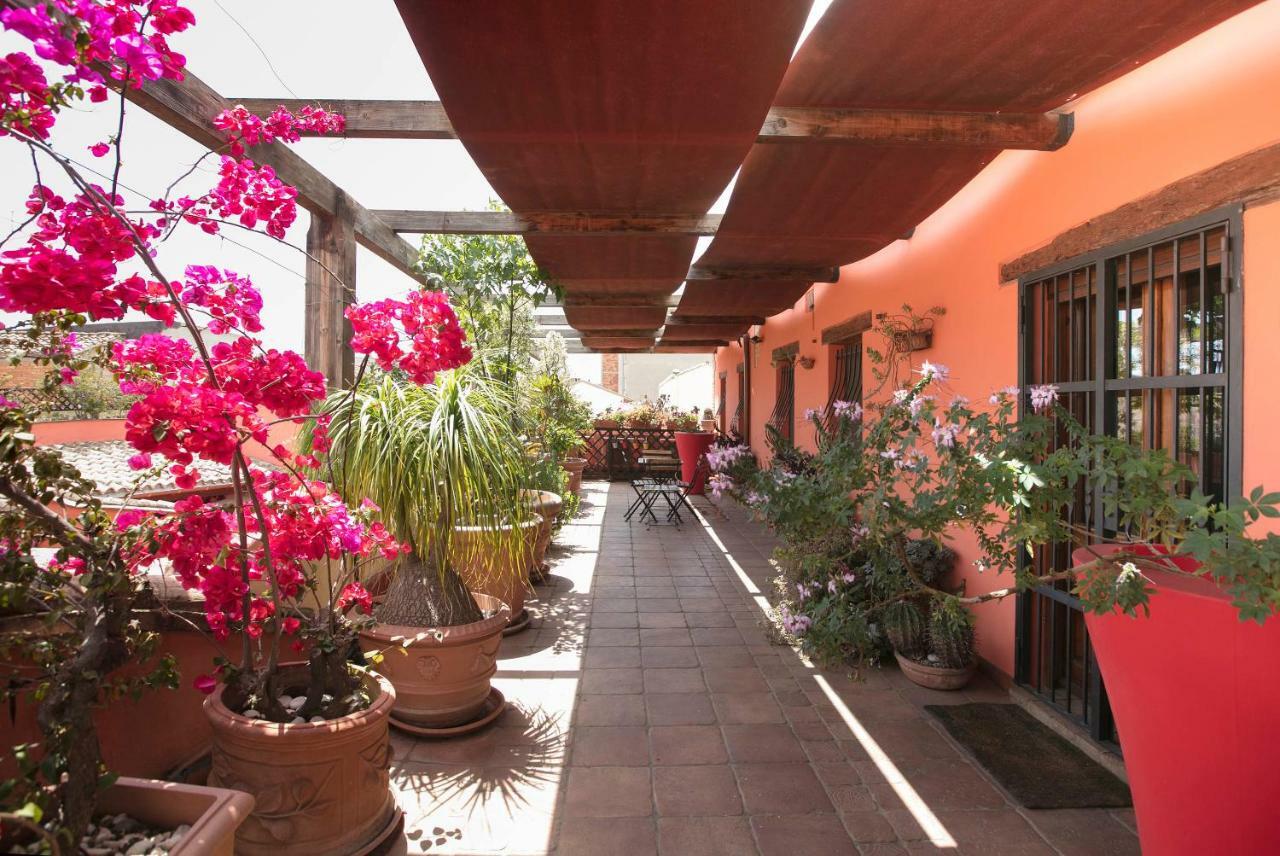 Bed and Breakfast Casa Isotta Куарту-Сант'Элена Экстерьер фото